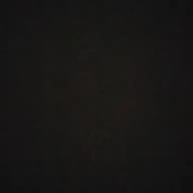 Profile image of 레이