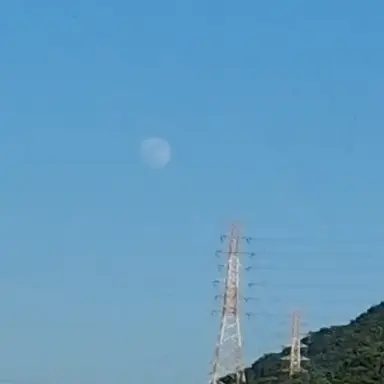 Profile image of 여우