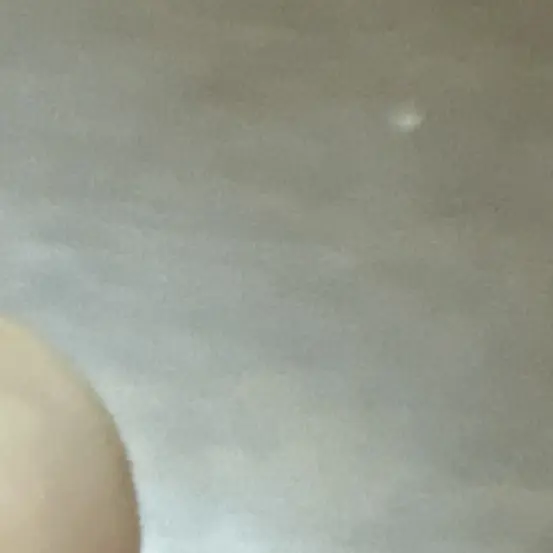 ChunkyElk8205의 再開