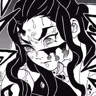 Profile image of Hotaru