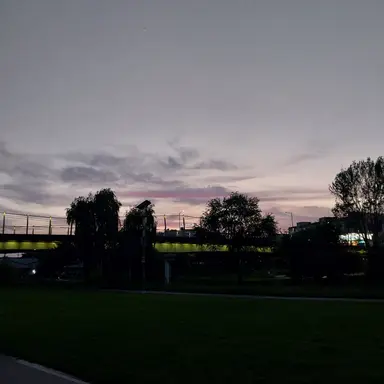 Profile image of 양은수