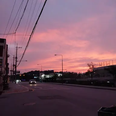 Profile image of 느이