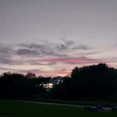 Profile image of 세희