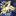 アルセウス / Arceus