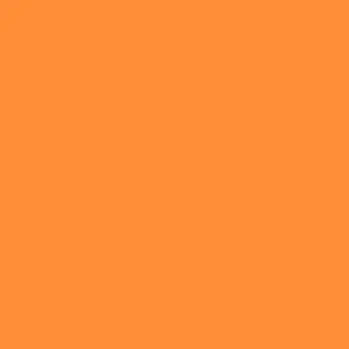 Profile image of 촘스키