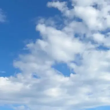 Profile image of 이승우