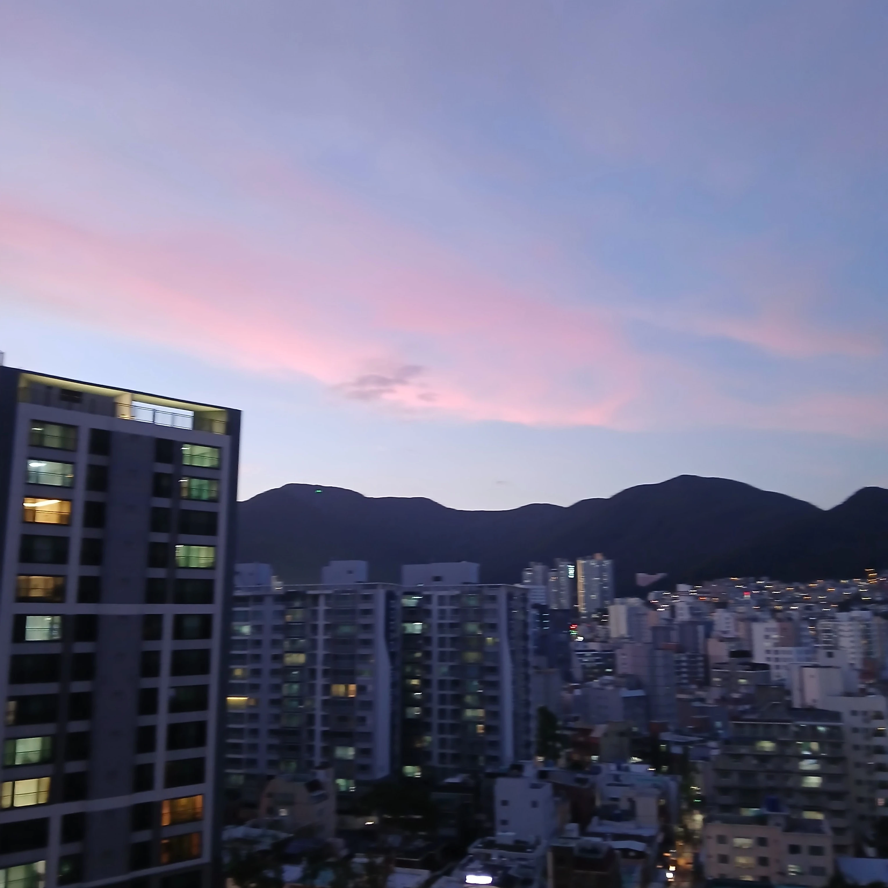 박덕개