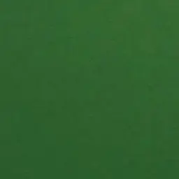 Profile image of ラミン・ヤマル