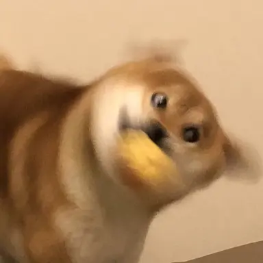 Profile image of 소다