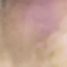 Profile image of 권지용