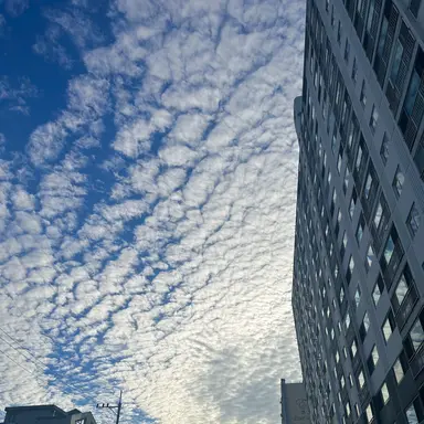 Profile image of 이용복