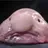 부롭이