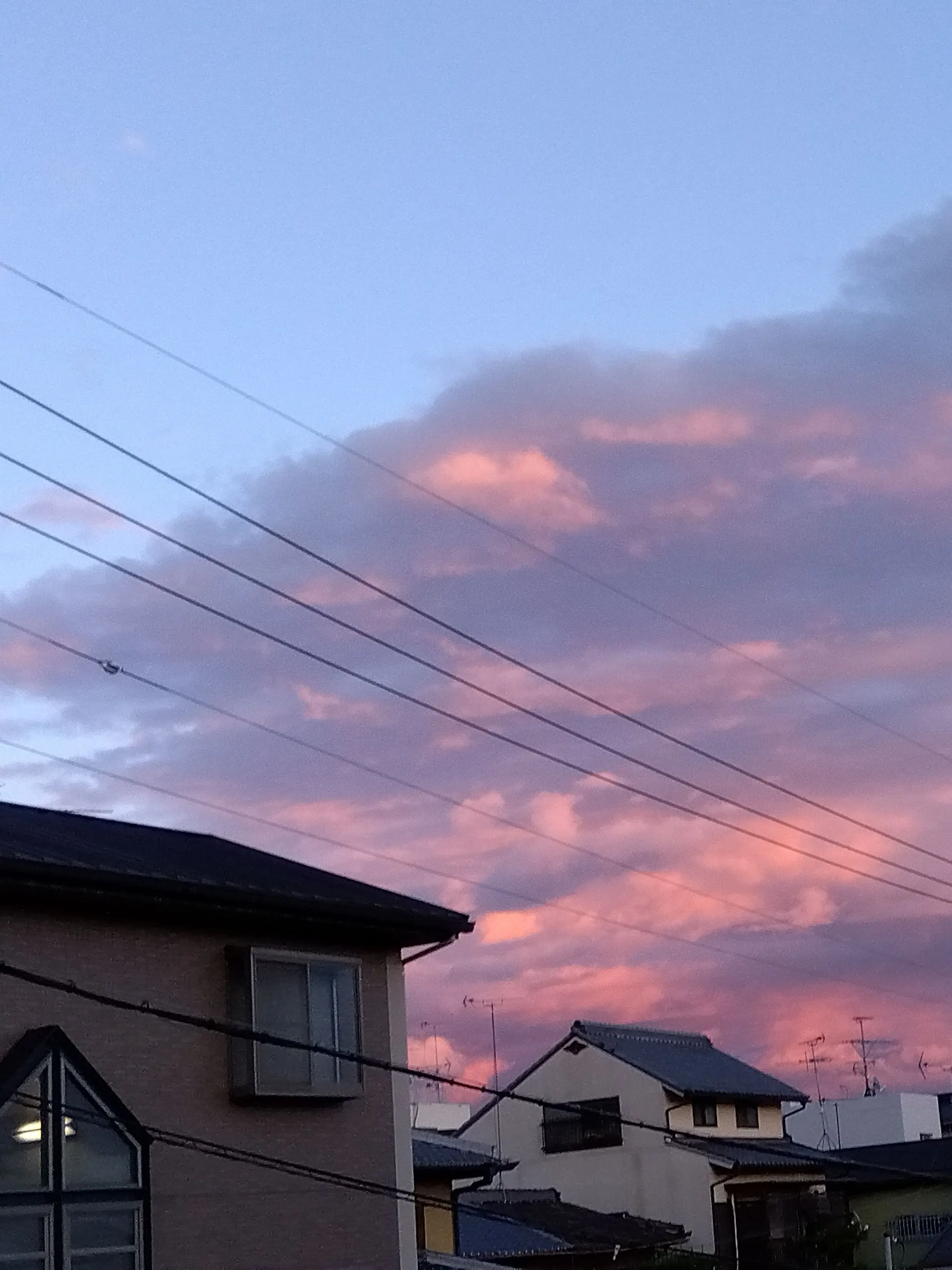 A-132의 学園生活じゃおらぁ！！