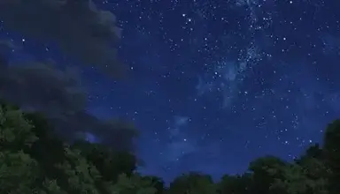 Profile image of Mha death