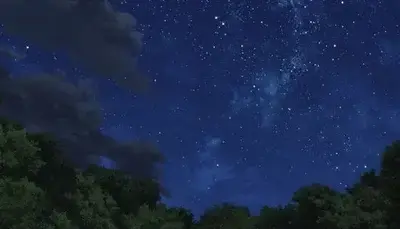 WarmRisk9569의 Mha death