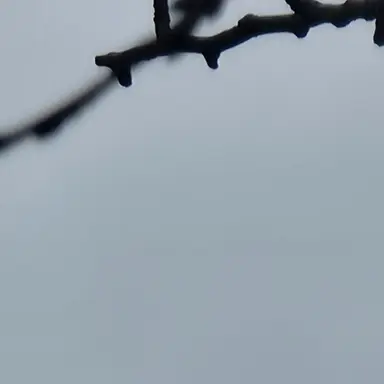 Profile image of 차우진