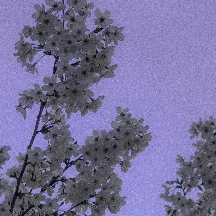 starIloveyou의 ｡o♡o｡+｡o♡o｡+｡o♡o｡+｡