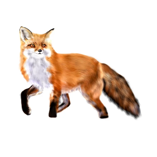 여우