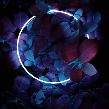 Profile image of 잠뜰