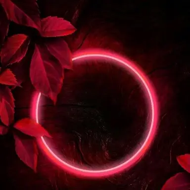 Profile image of 라더