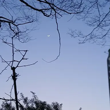 Profile image of 아스트로