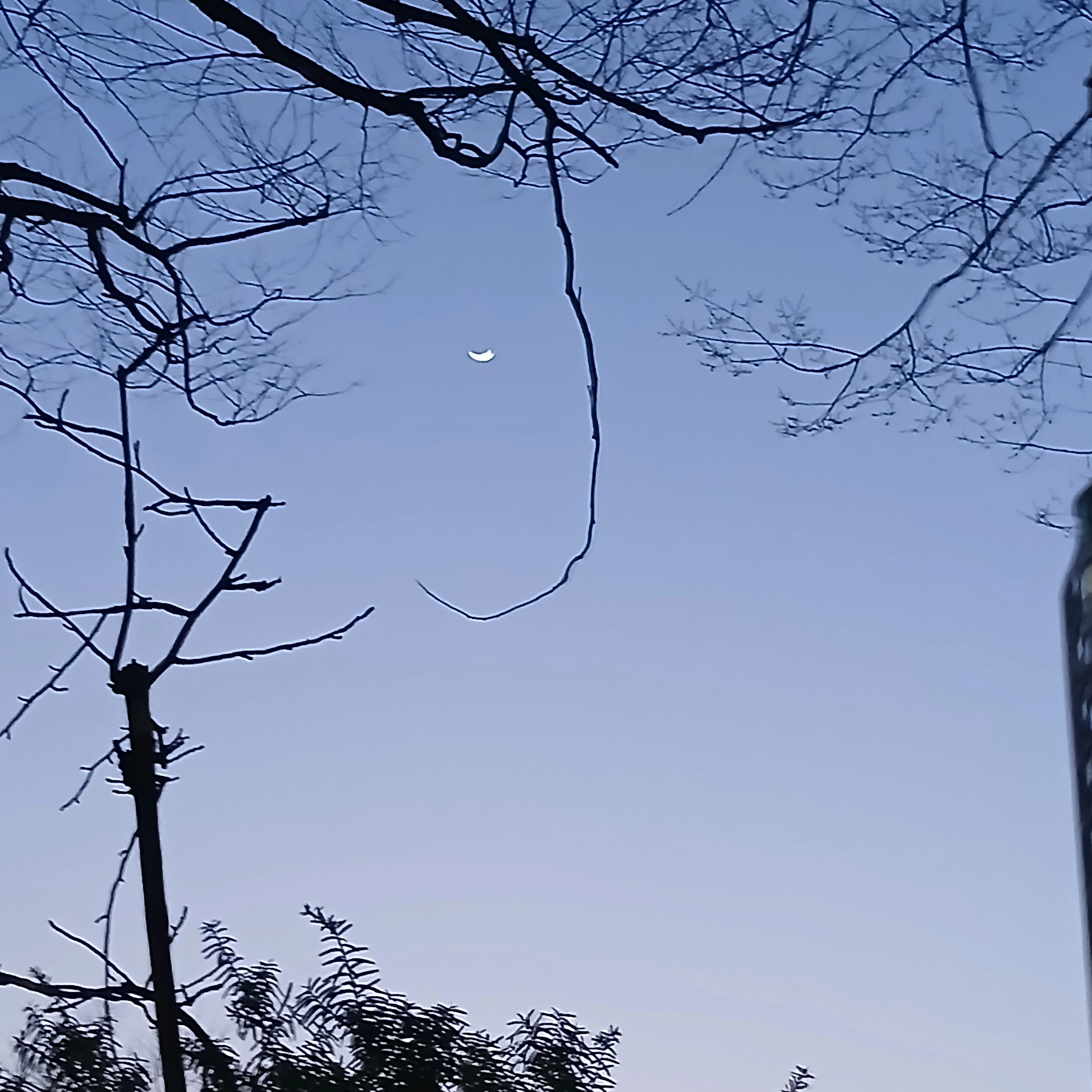 아스트로
