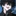 深森 翔夜