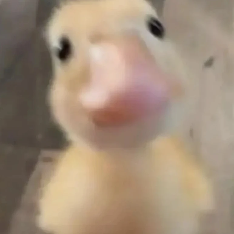여자