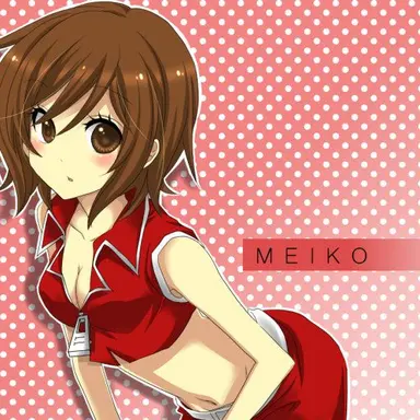 Profile image of 메이코