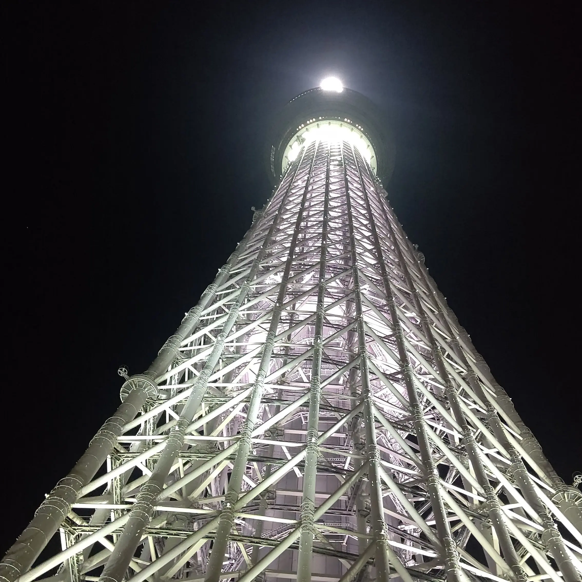 TautRing8931의 あ