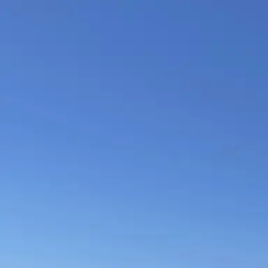 Profile image of ぼんじゅうる