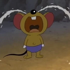 쥐돌이