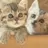 りんとはな