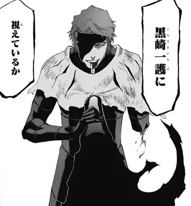 Profile image of 藍染惣右介