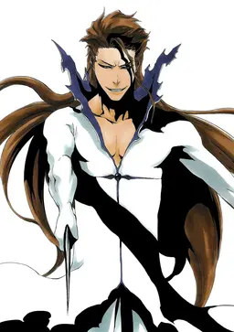 Profile image of Sosuke Aizen