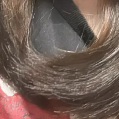 Profile image of 美香