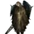 동백