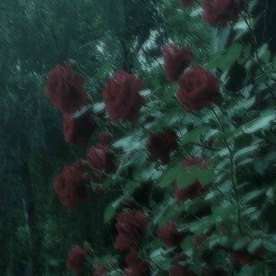 외로운 대표 이미지
