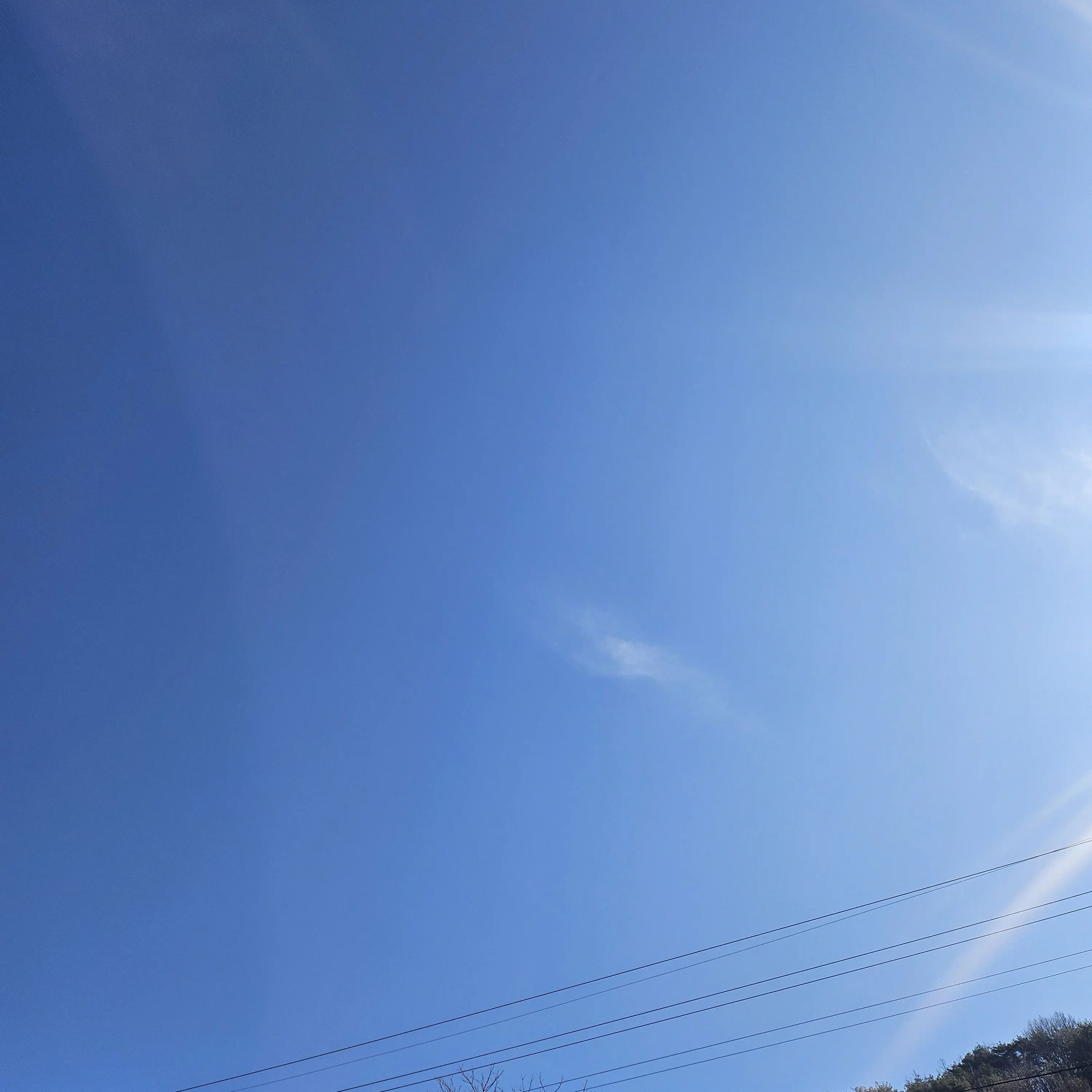 jiyul00127의 ..?누구세용.. 덕개맞아?!