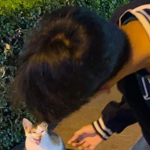 이시율