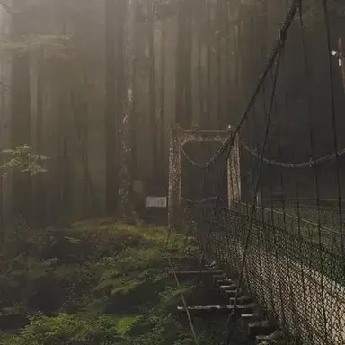 Profile image of Zombie Apocalypse