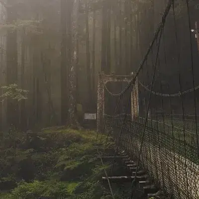 MaleTrout2805의 Zombie Apocalypse