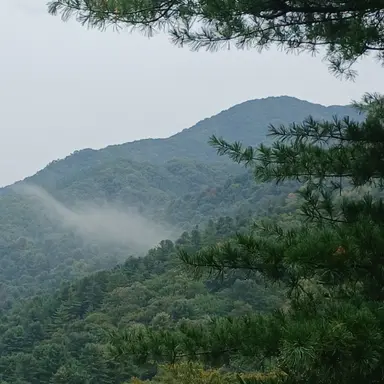 Profile image of 우참