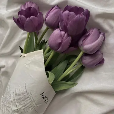 Profile image of 미스터리