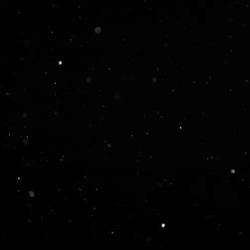 DirtyApe4762의 악토버즈 멤버