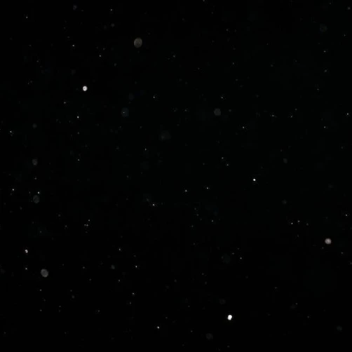 악토버즈 멤버