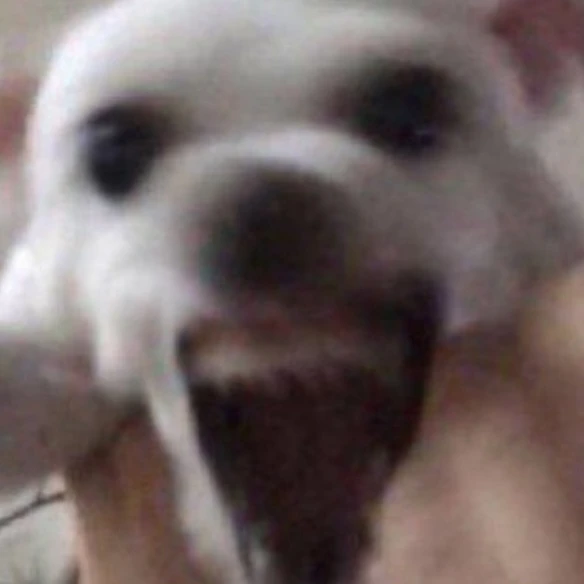 걱걱넛