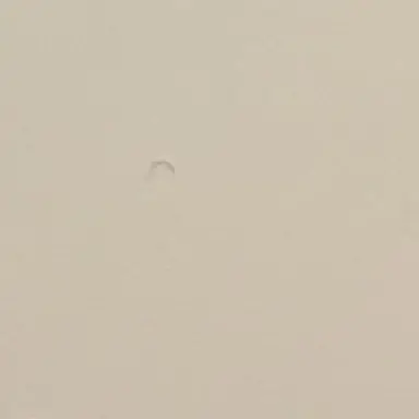 Profile image of ももこ