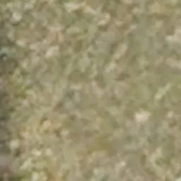 Profile image of 한동민