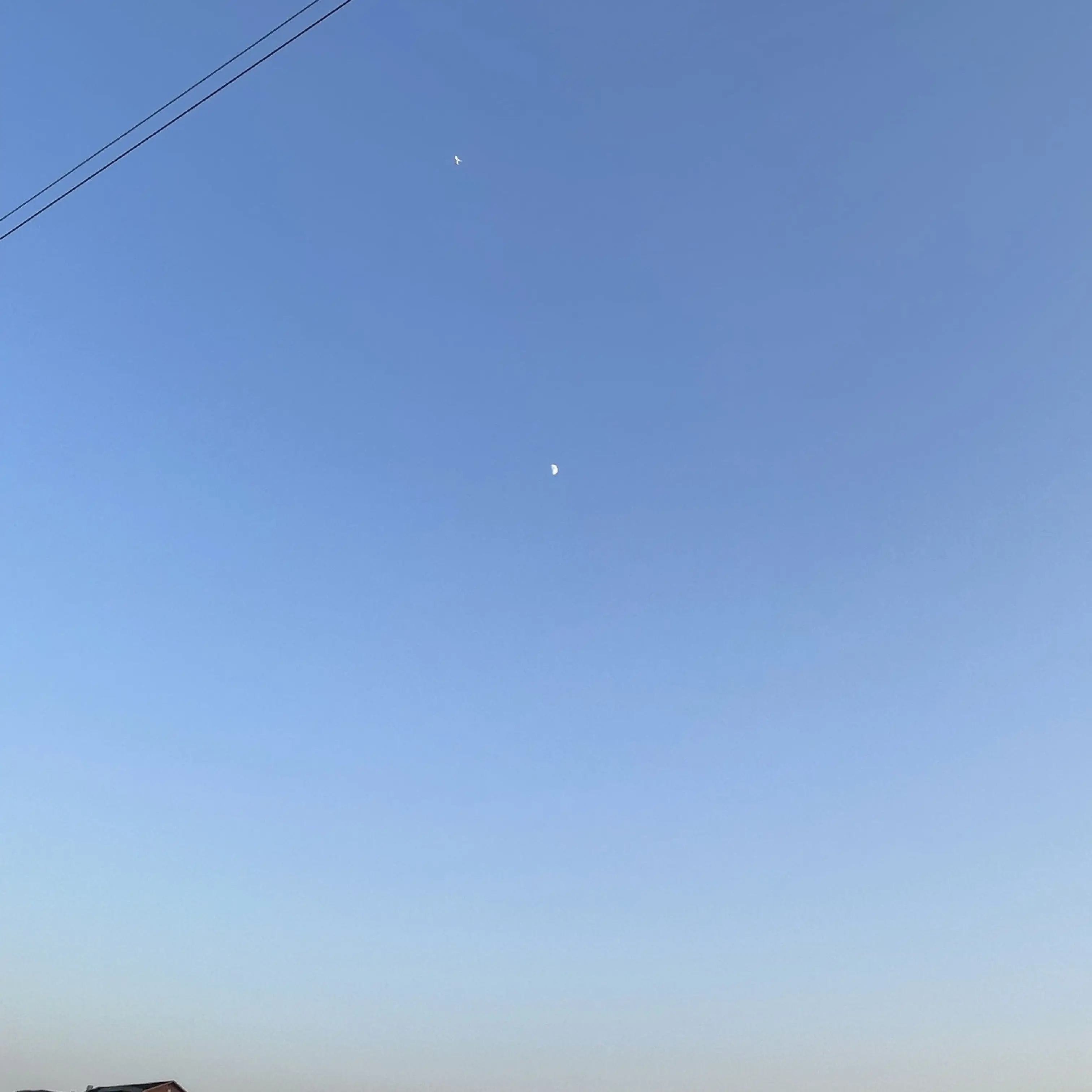 FaintPiano8469의 오래된 친구